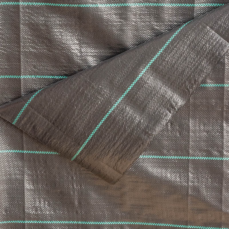 Product Image Right